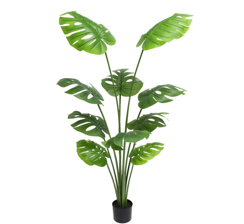 Ever-Green-Monstera-Leaf-Plant-for-Indoor-Home-Hotel-Decoration-Bonsai-Tree (4).jpg 